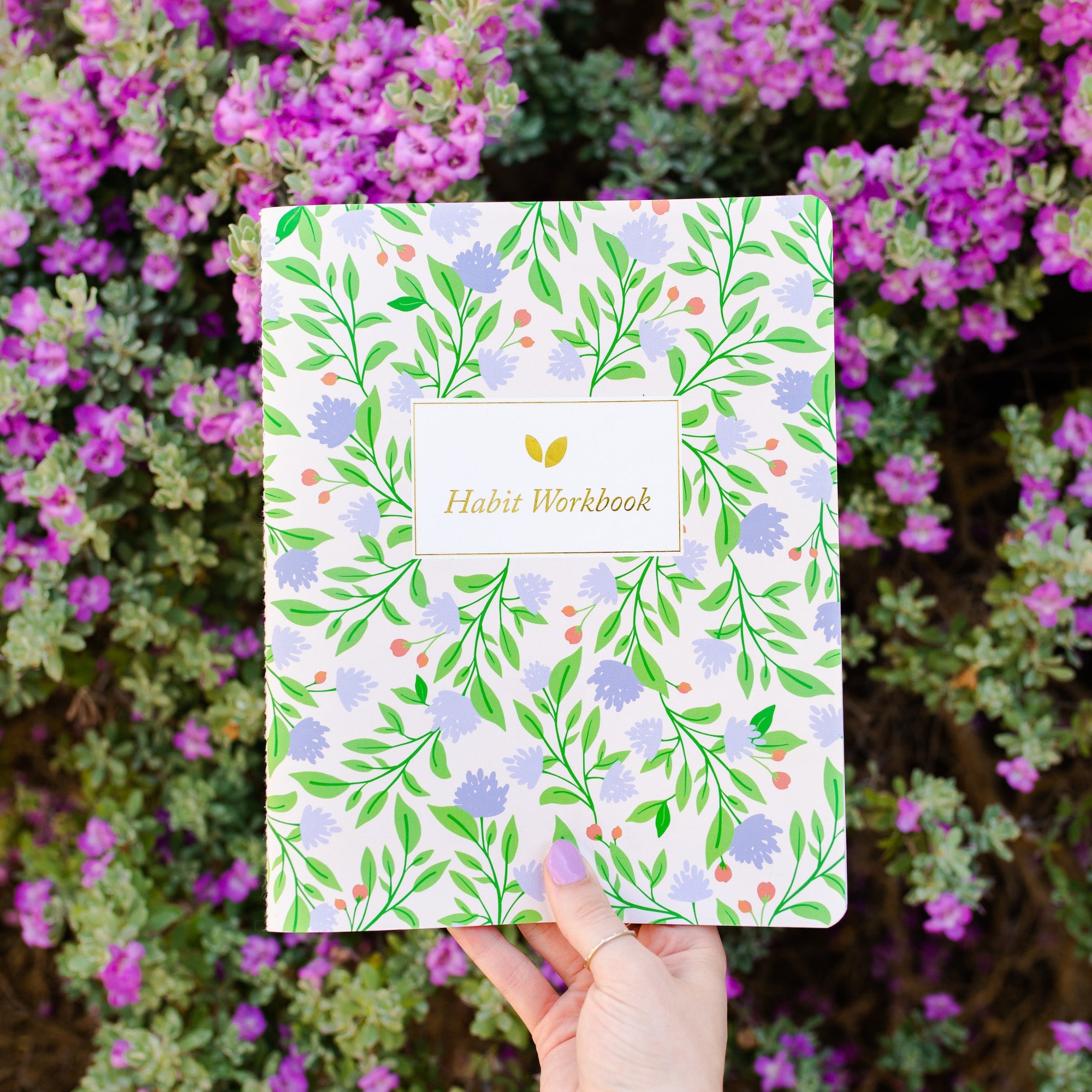 Introducing Cultivate What Matters' Habit Workbook