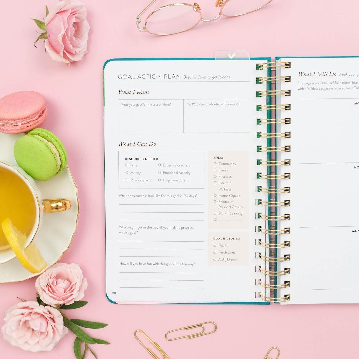 Fresh Start Daily Planner | Undated (Ivy Spiral)