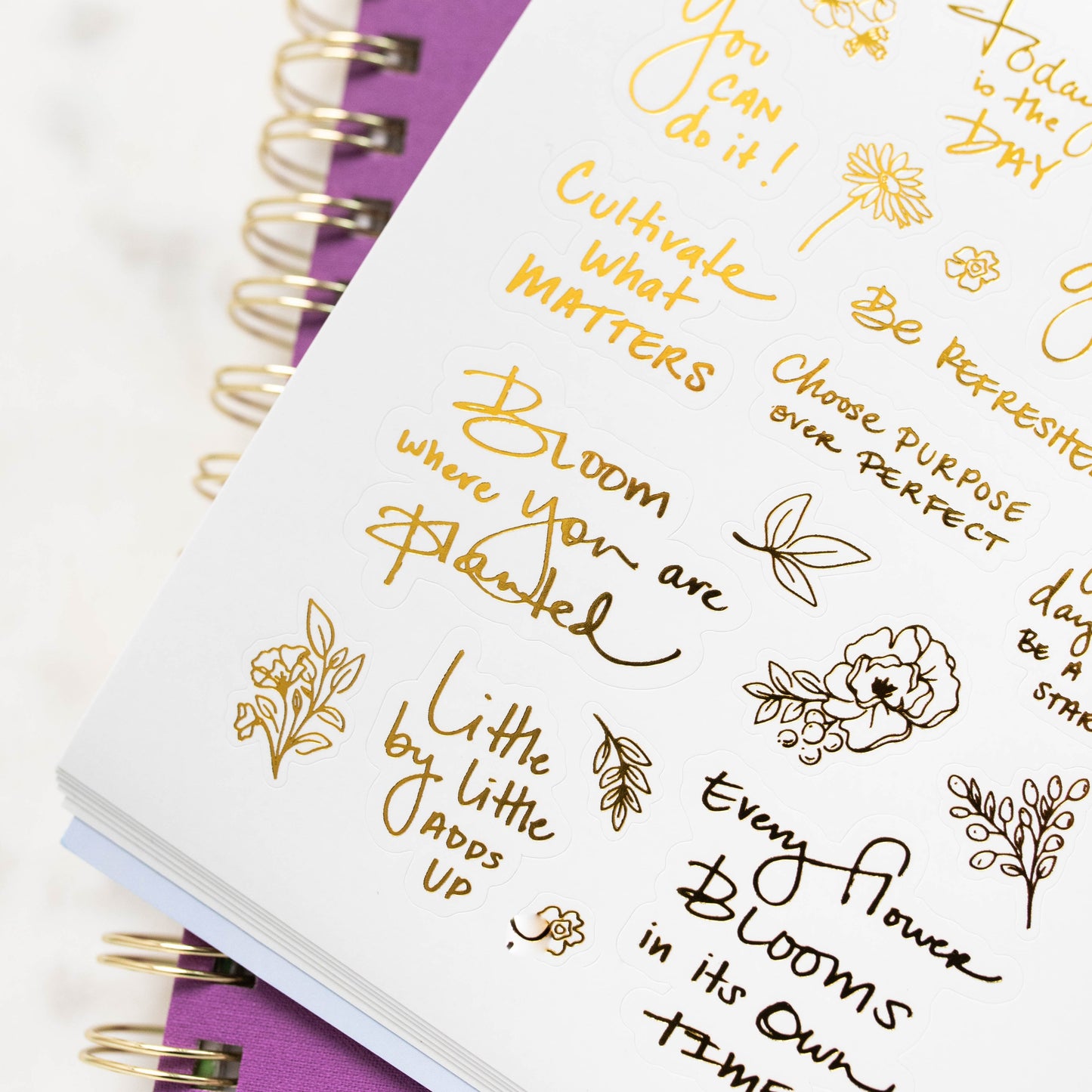 Growing Good Things Sticker Book