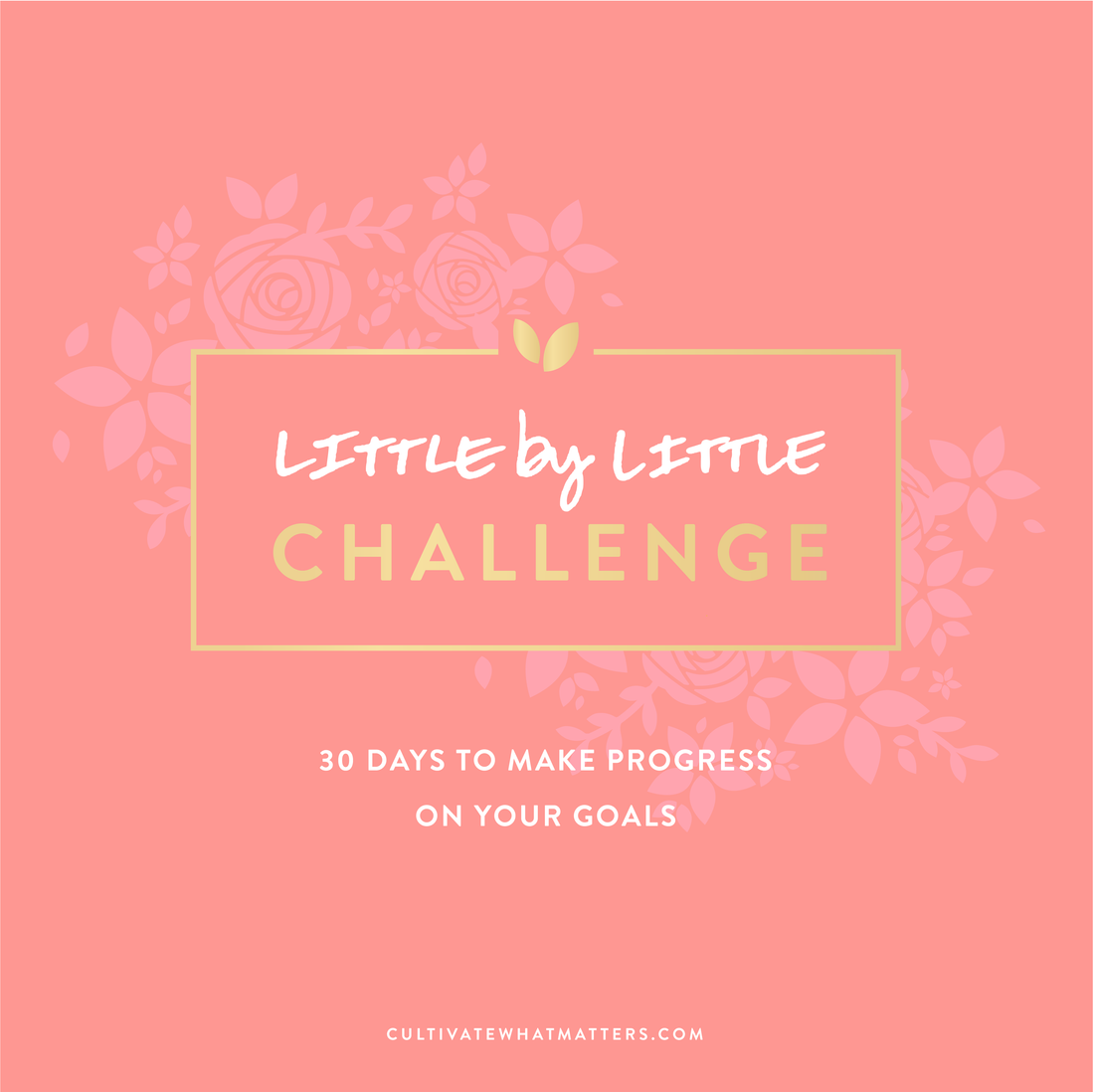 30 Ways to Make Progress on Your Goals with the Little by Little Challenge
