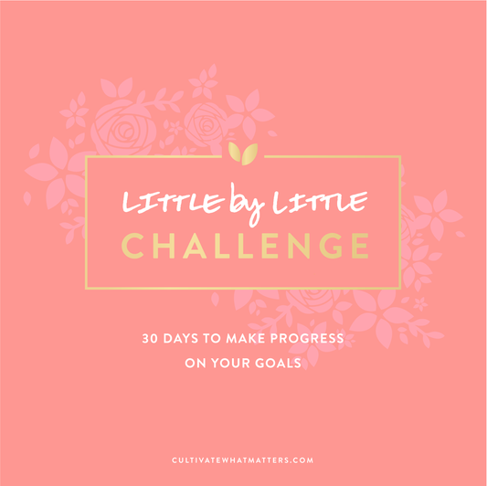 30 Ways to Make Progress on Your Goals with the Little by Little Challenge