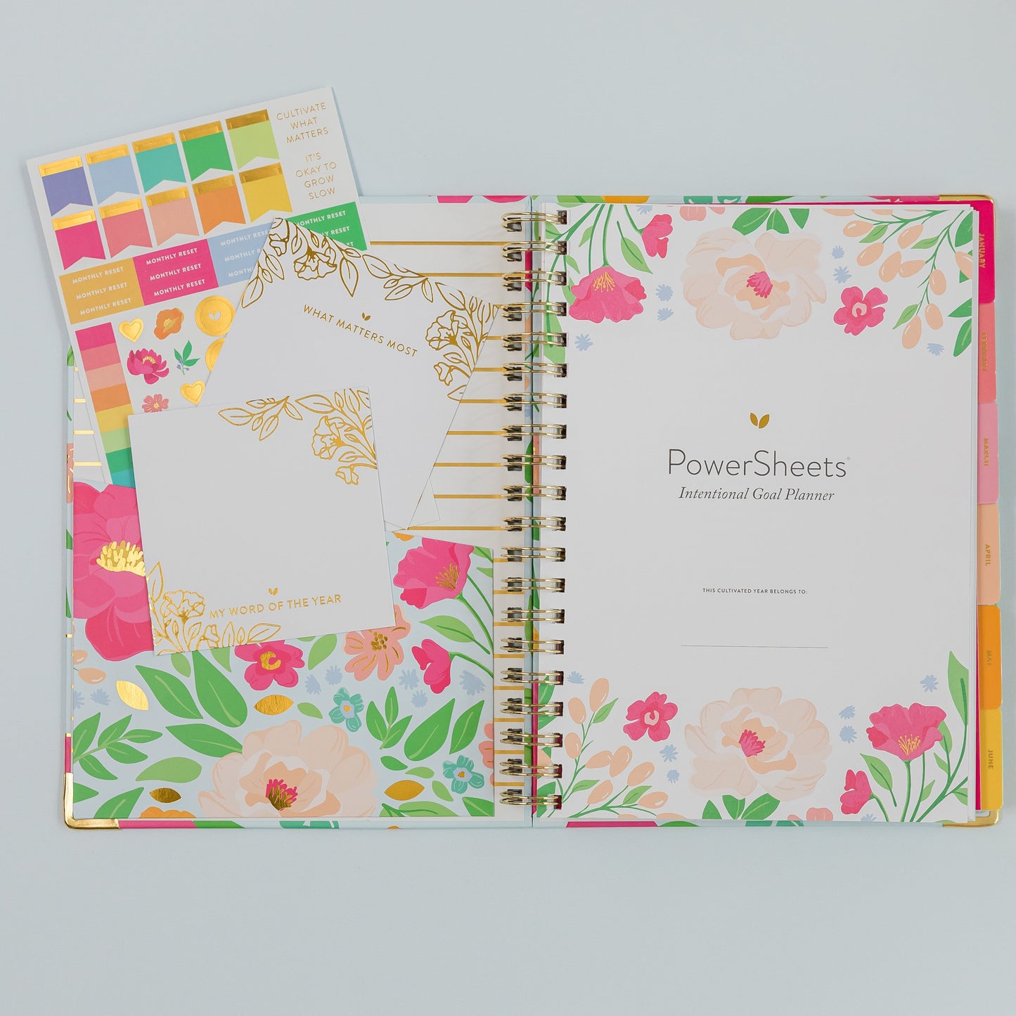 One-Year PowerSheets® Goal Planner | Meadow