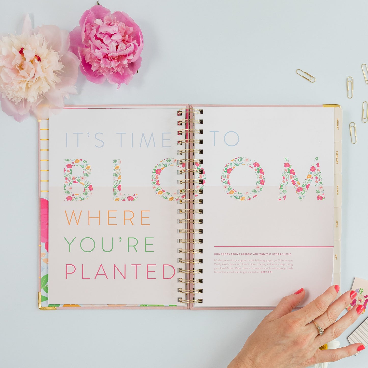 One-Year PowerSheets® Goal Planner | Blossom