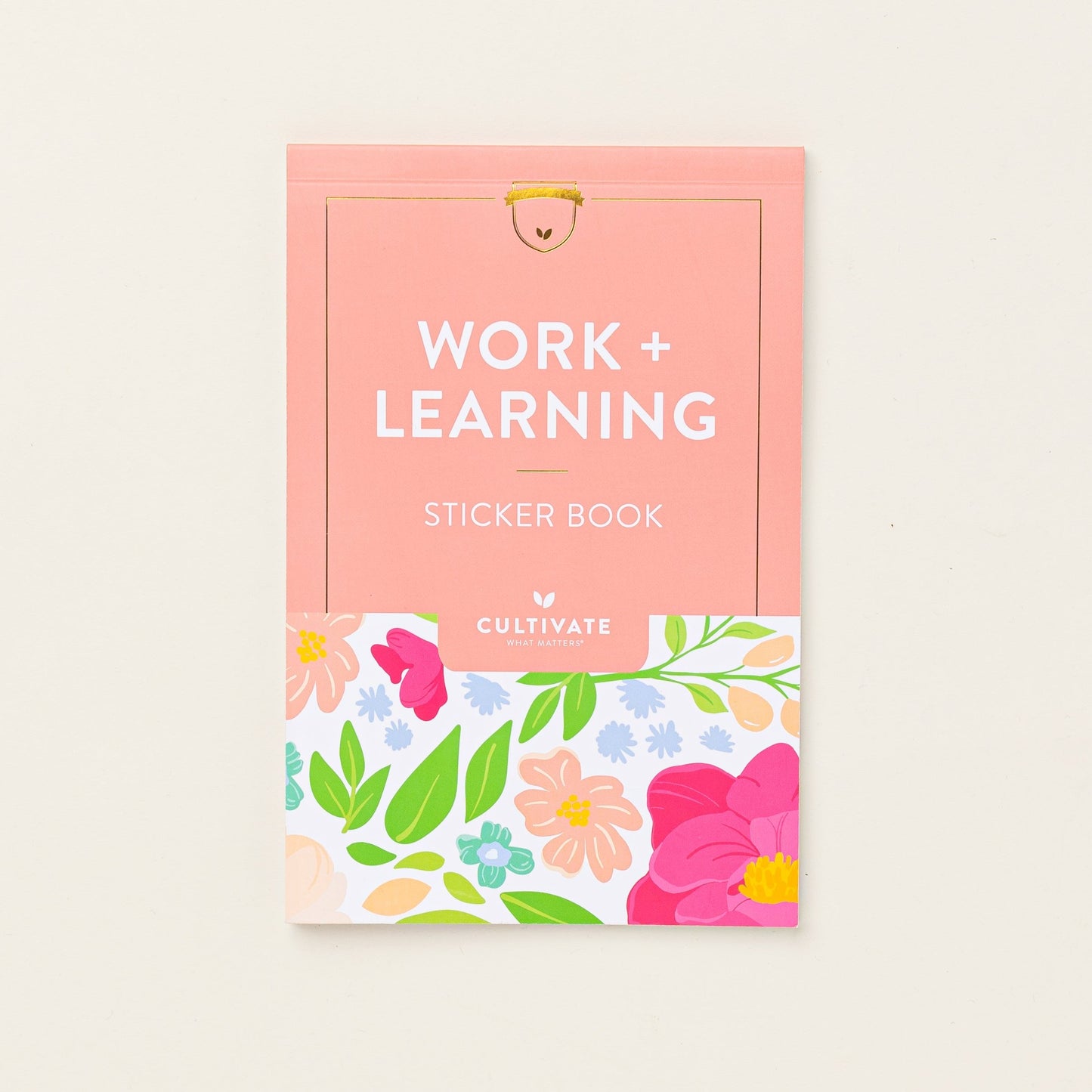 Work & Learning Sticker Book