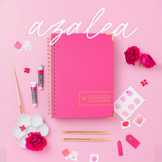 2025 One-Year PowerSheets® Goal Planner | Azalea