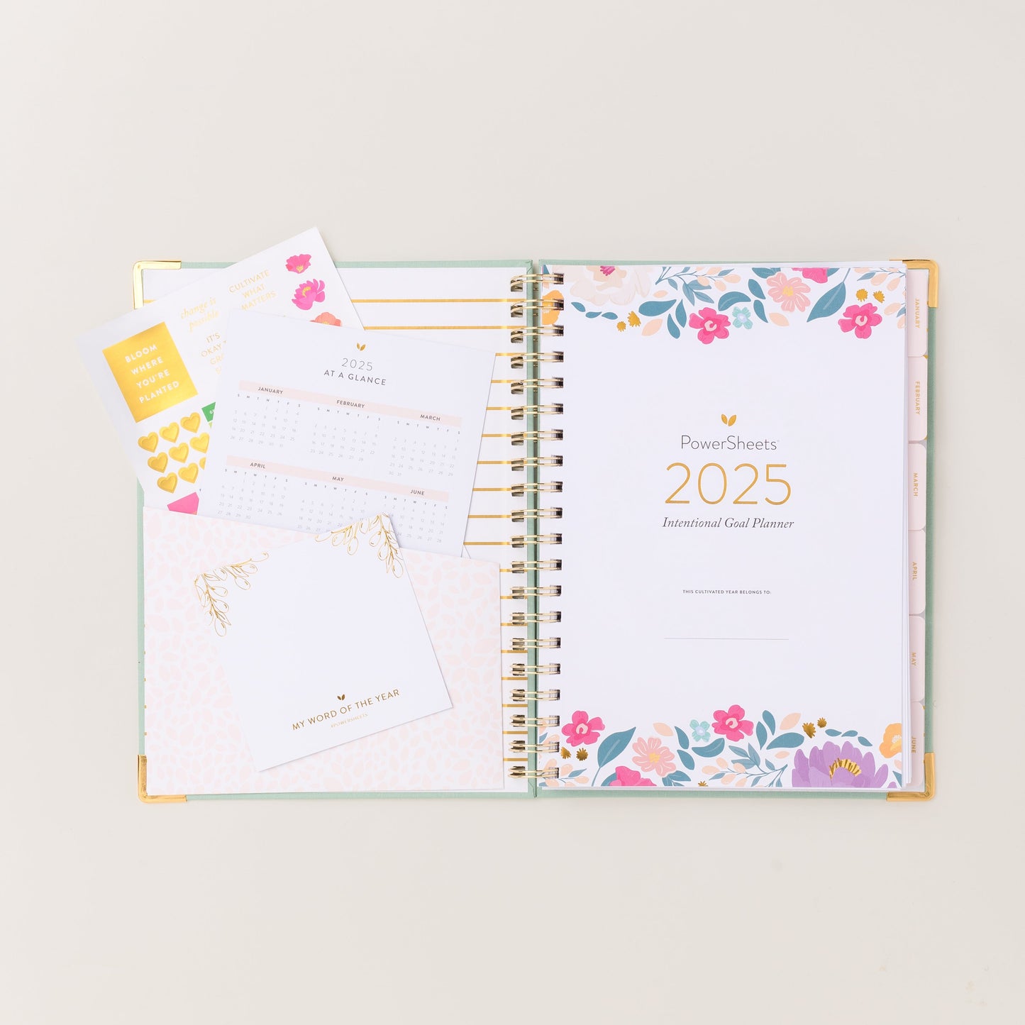 2025 One-Year PowerSheets® Goal Planner | Aloe