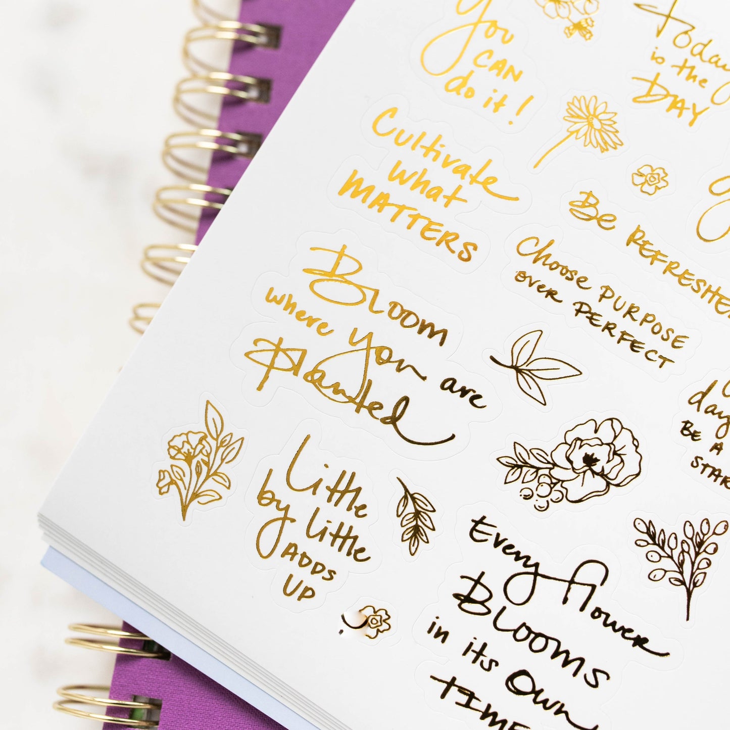 Growing Good Things Sticker Book