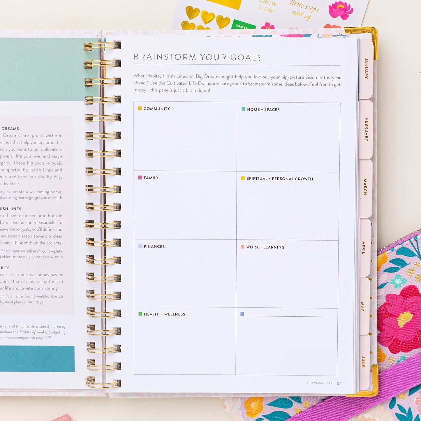 2025 One-Year PowerSheets® Goal Planner | Aloe