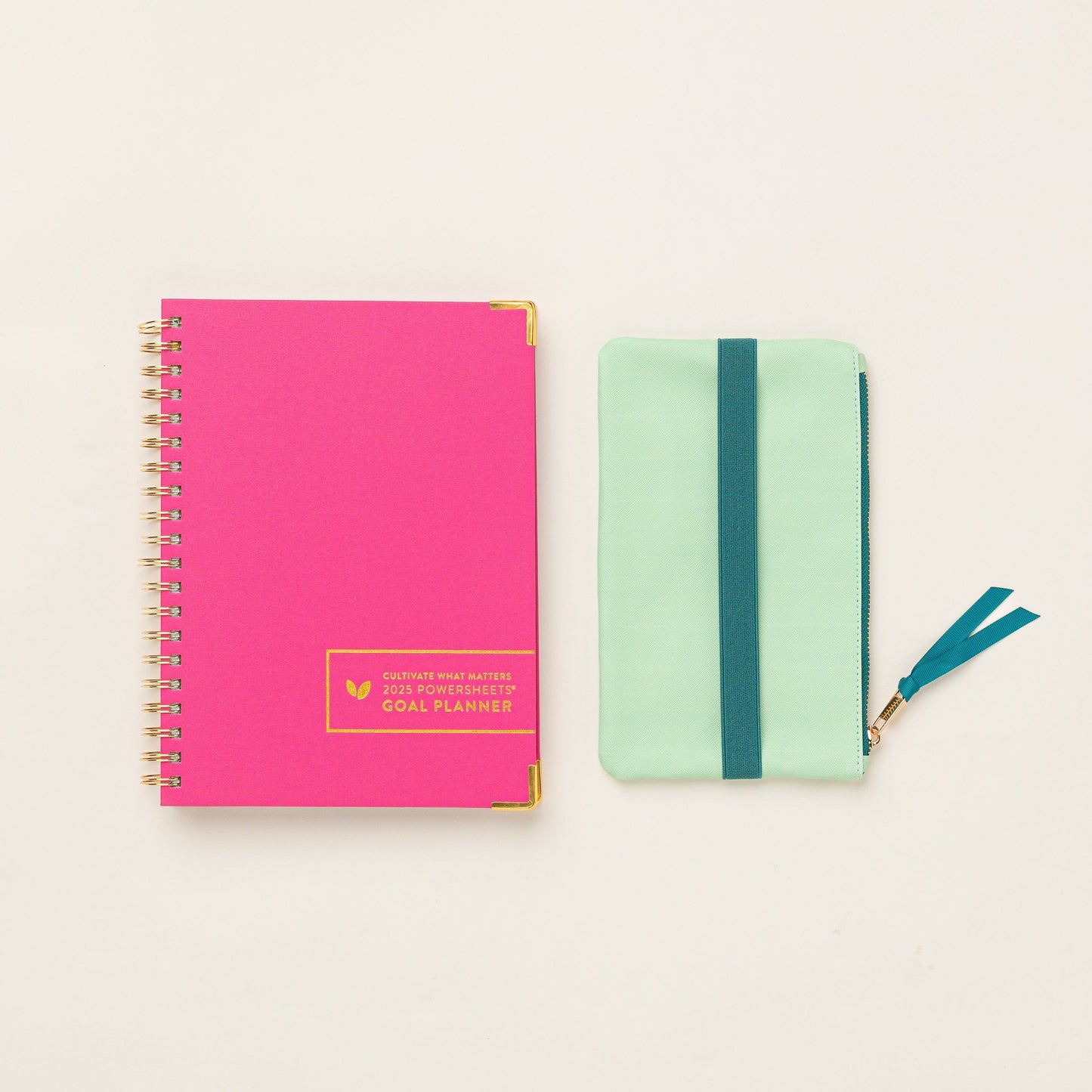 Pencil Pouch | Aloe