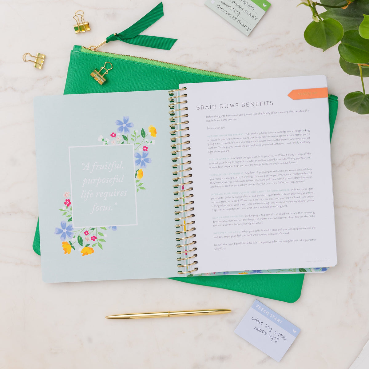 Refresh Brain Dump Journal | Gold Stripes