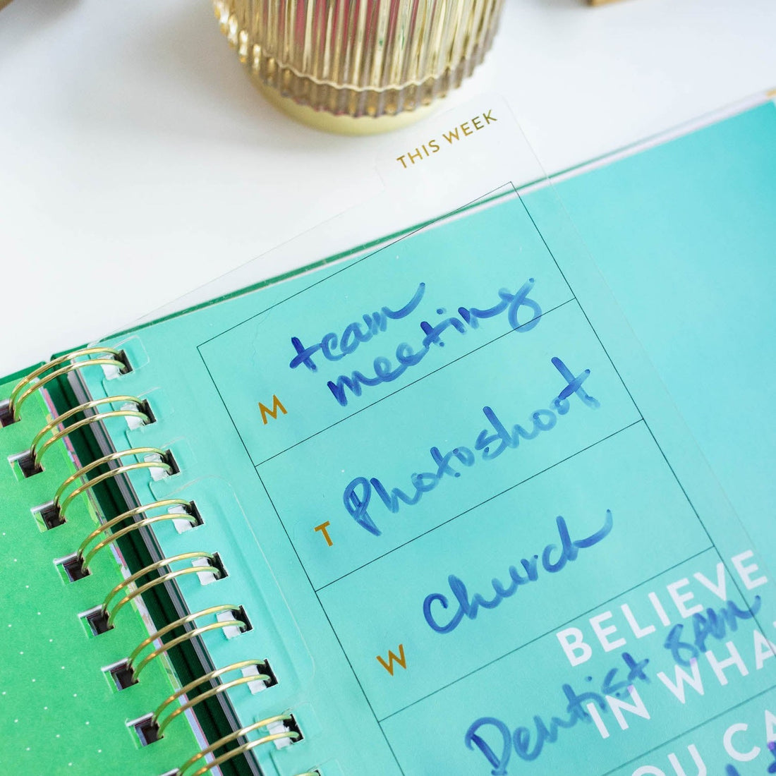 SnapIn Weekly Wet Erase Cultivate