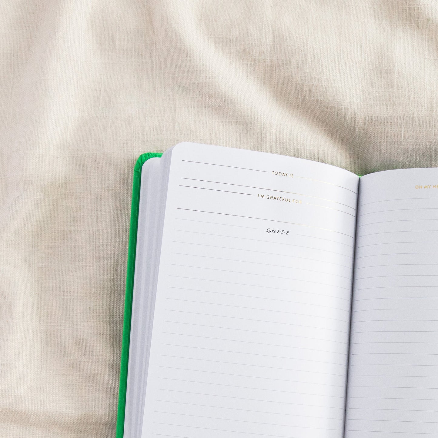 Write the Word | The Gospels Boxed Collection