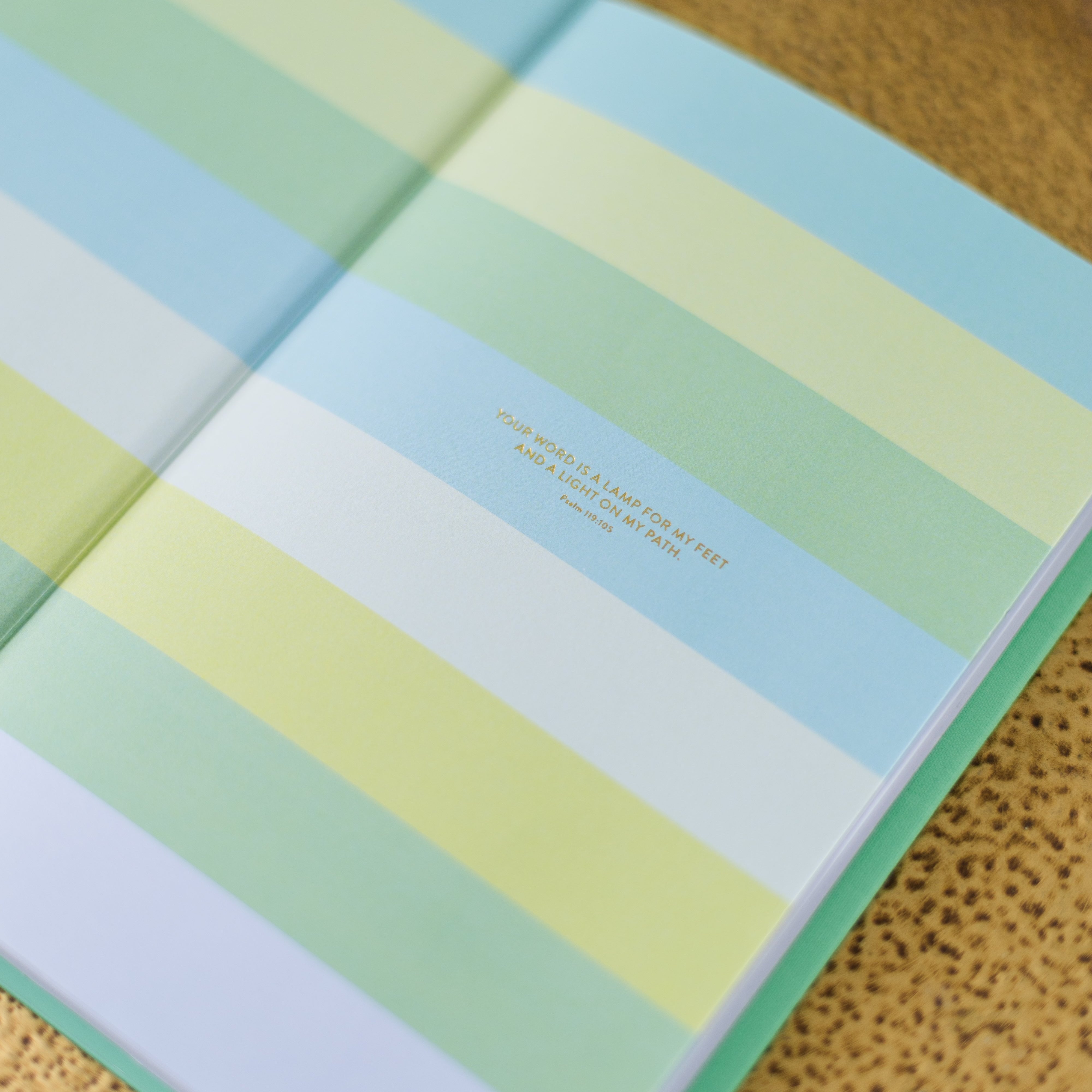 Write the Word® Journal | Renewal