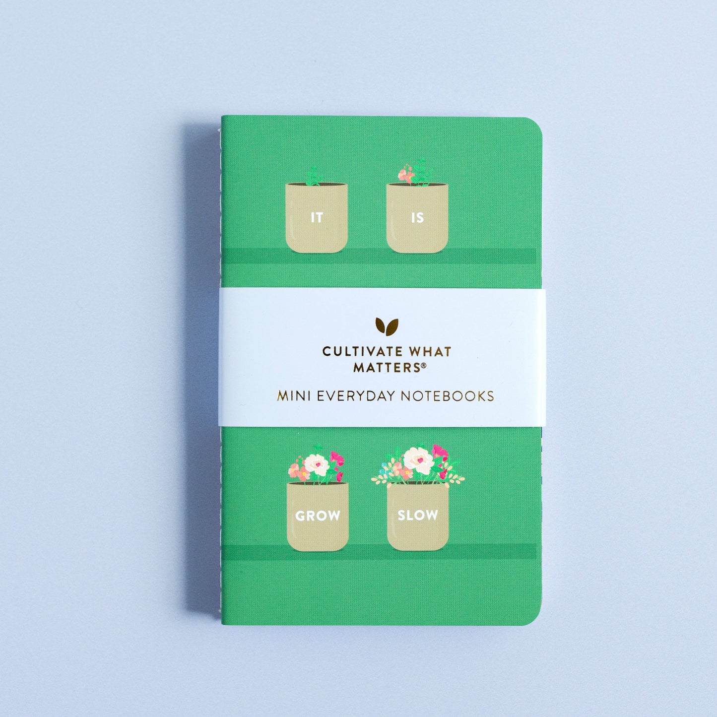 Mini Everyday Notebooks | Set of 3