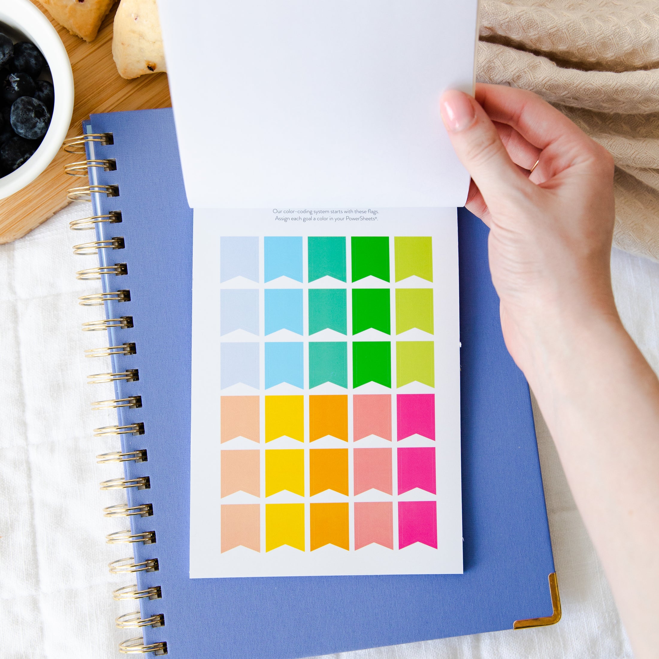 Color Coding Sticker Book – Cultivate