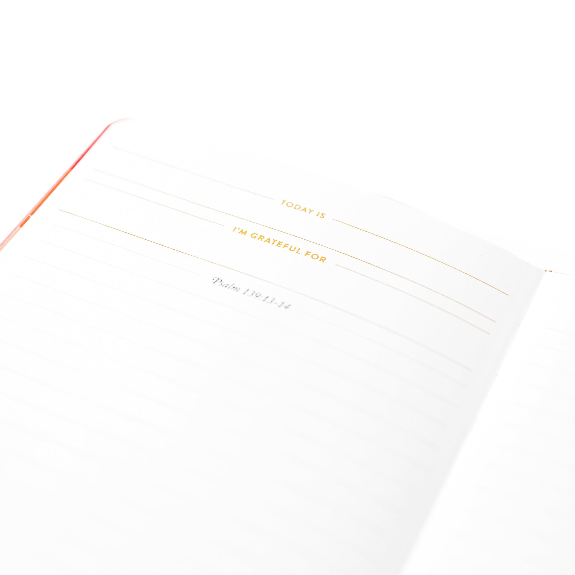 Write The Word Bible Journal | Cultivate Confidence, 66 scriptures