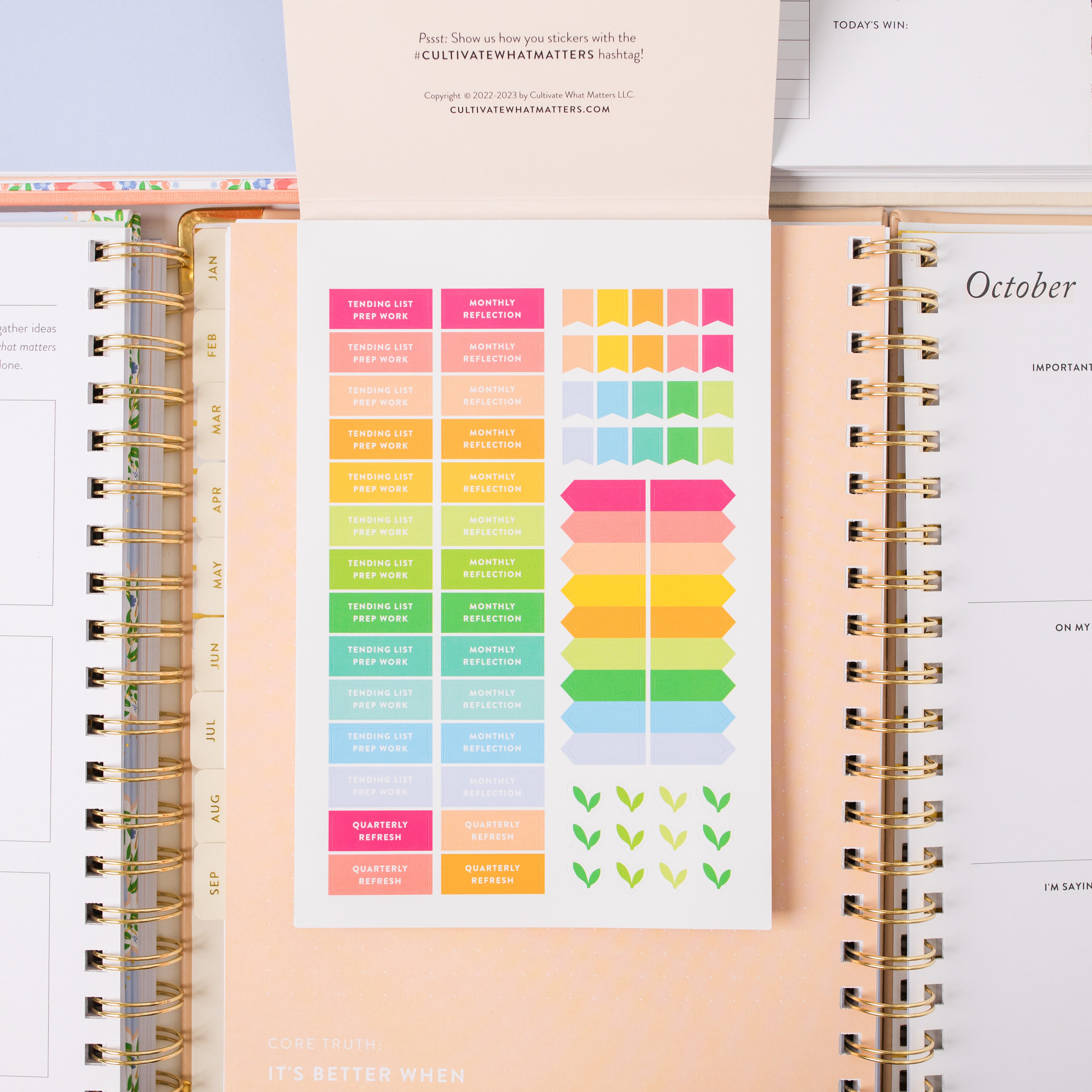 Goal Setting Sticker Book – Cultivate